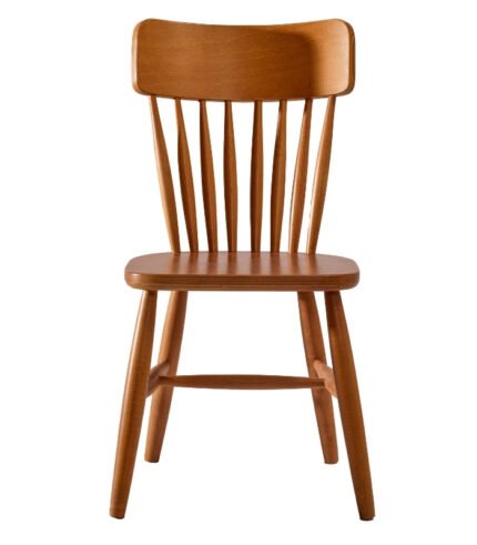 VanessaLife Teno Form